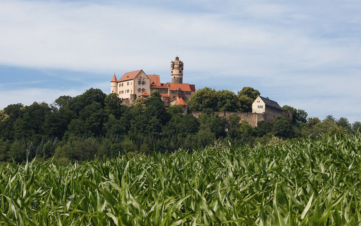 Ritteressen Ronneburg Mit Singenden Hofgauklern