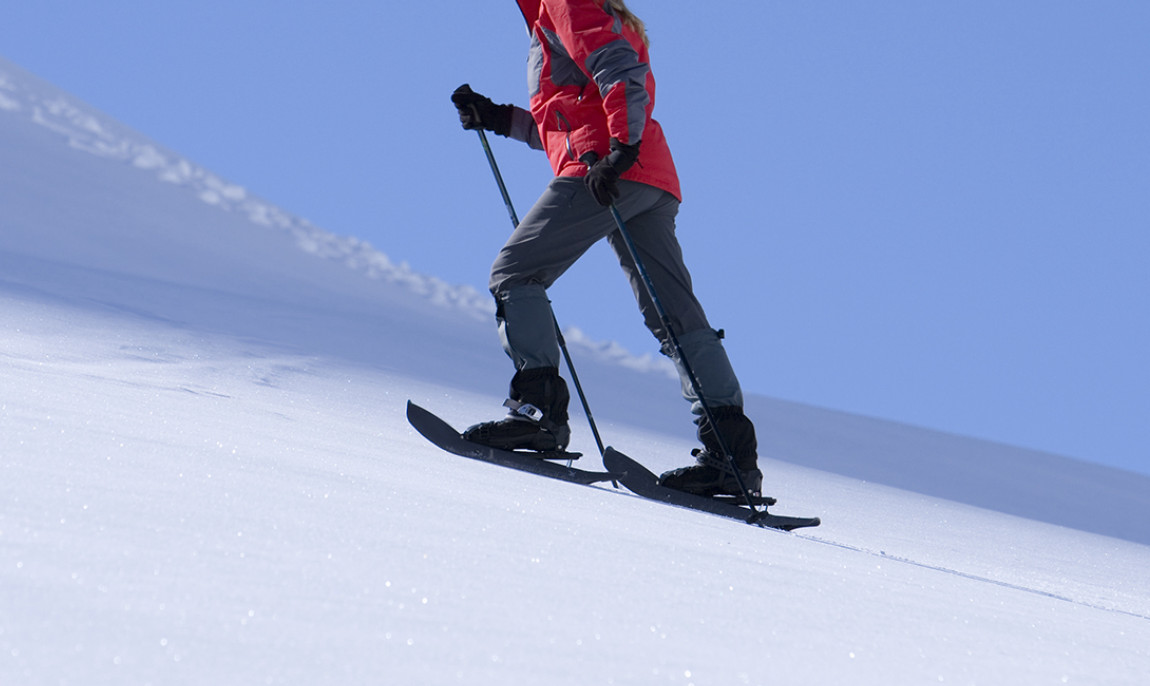 assets/images/activities/schneeschuh-wanderung-in-blaichach-raum-kempten-in-bayern/1280_0003_Fotolia_14125880_Subscription_XXL-1150x686x90.jpg