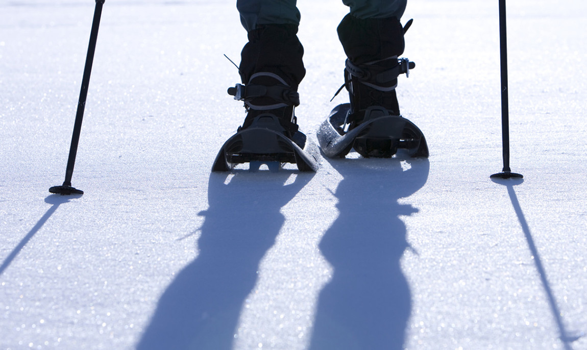 assets/images/activities/schneeschuh-wanderung-in-blaichach-raum-kempten-in-bayern/1280_0004_Fotolia_14125413_Subscription_L-1150x686x90.jpg