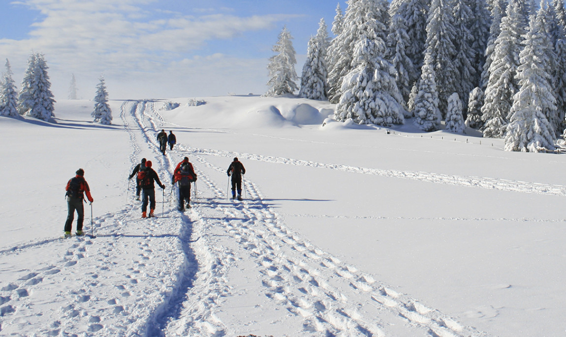assets/images/activities/schneeschuh-wanderung-und-airboarding-in-blaichach-raum-kempten/1280_0000_Fotolia_36660027_Subscription_L-1150x686x90.jpg