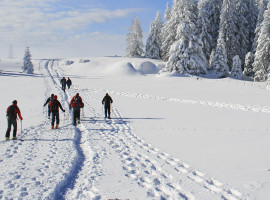 assets/images/activities/schneeschuh-wanderung-und-airboarding-in-blaichach-raum-kempten/1280_0000_Fotolia_36660027_Subscription_L-270x200x90.jpg