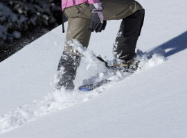 assets/images/activities/schneeschuh-wanderung-und-airboarding-in-blaichach-raum-kempten/1280_0001_Fotolia_29626079_Subscription_XXL-270x200x90.jpg