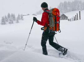 assets/images/activities/schneeschuh-wanderung-und-airboarding-in-blaichach-raum-kempten/1280_0002_Fotolia_29063386_Subscription_XL-270x200x90.jpg