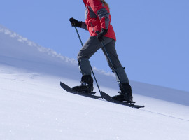 assets/images/activities/schneeschuh-wanderung-und-airboarding-in-blaichach-raum-kempten/1280_0003_Fotolia_14125880_Subscription_XXL-270x200x90.jpg