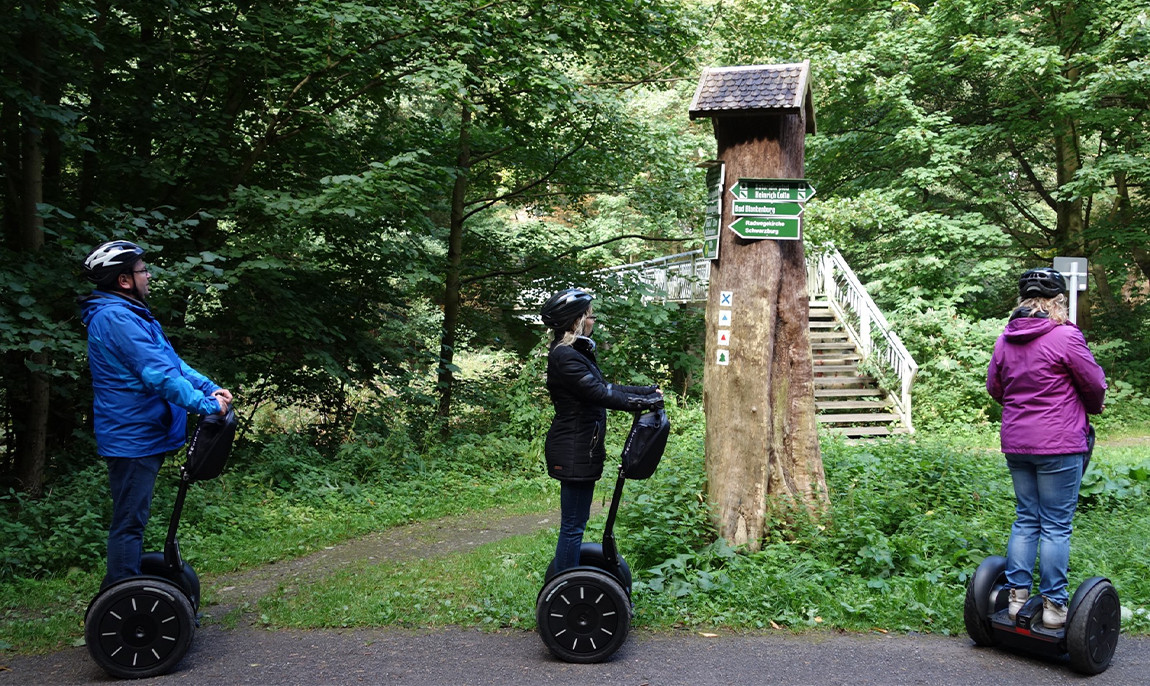 assets/images/activities/schwarzburg-segway-tour-schwarzatal/Schwarzatal-1-1150x686x90.jpg