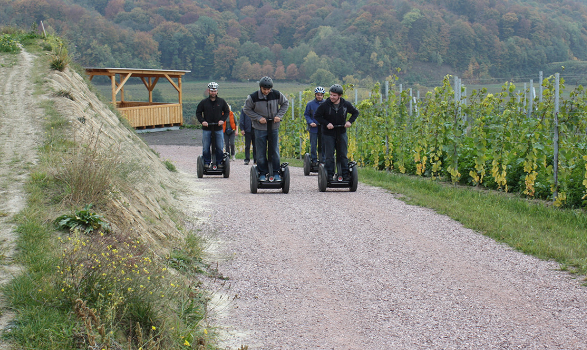 assets/images/activities/segway-tour-vogtsburg/1280_0004_IMG_4959-1150x686x90.jpg