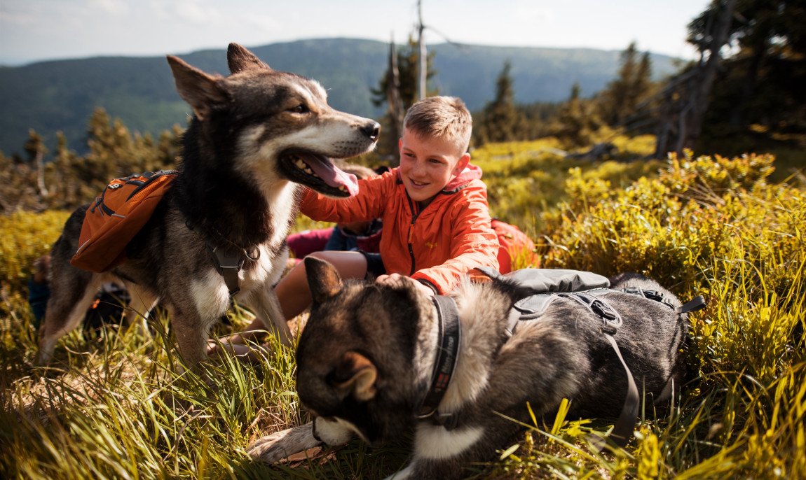 assets/images/activities/silberborn-huskywanderung/_DSC5089%20(4512%20x%203012)-1150x686x90.jpg