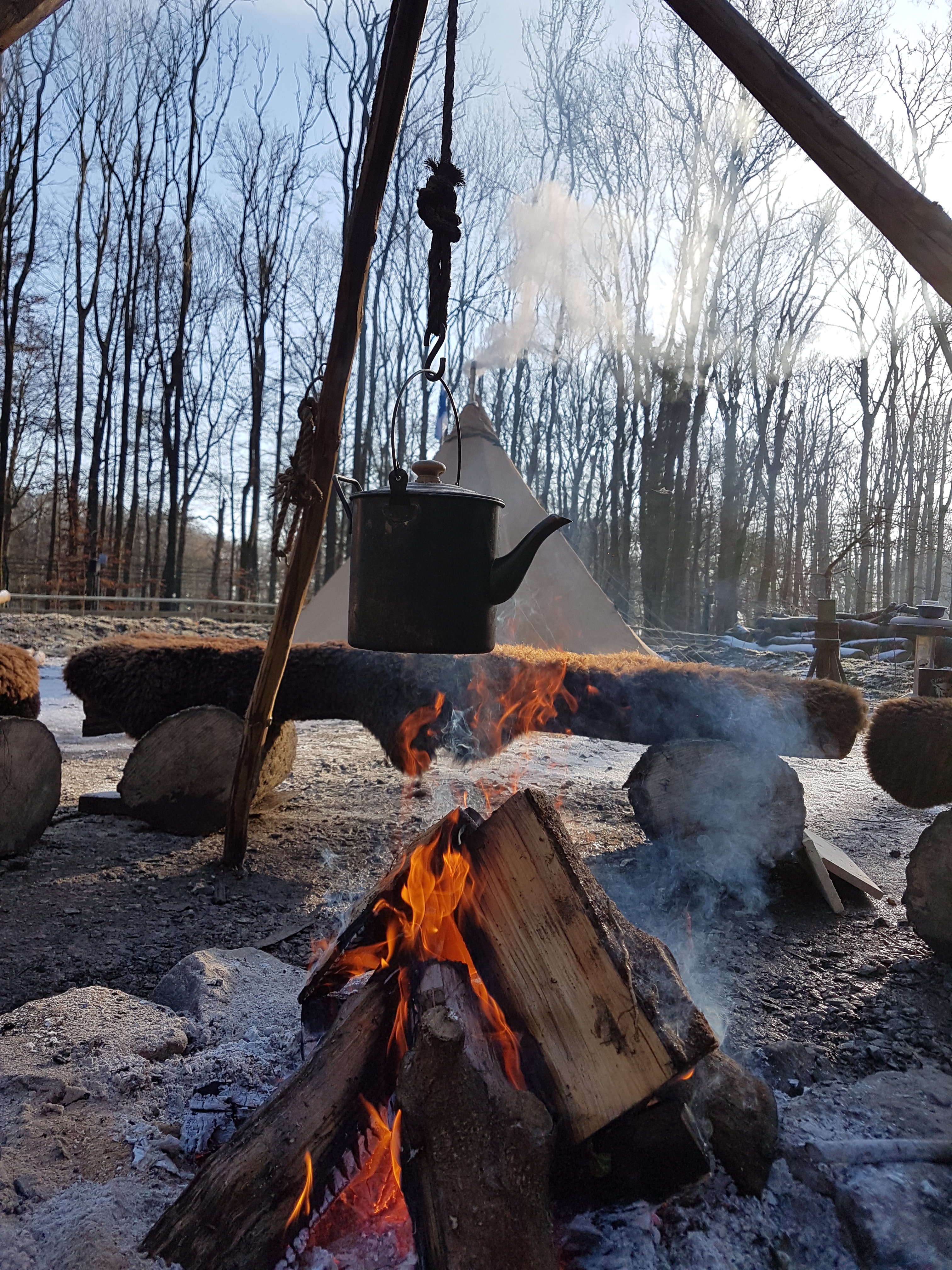 hngematte aufhnger Outdoor Hngematte mit Baumschutz  Jetzt bestellen  ARCTA
