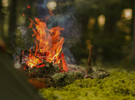 24 Std. Survival Kurs „Eine Nacht im Wald” in Sorgwohld