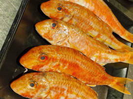 4,5 Std. Fisch Kochkurs in Stuttgart-Hedelfingen