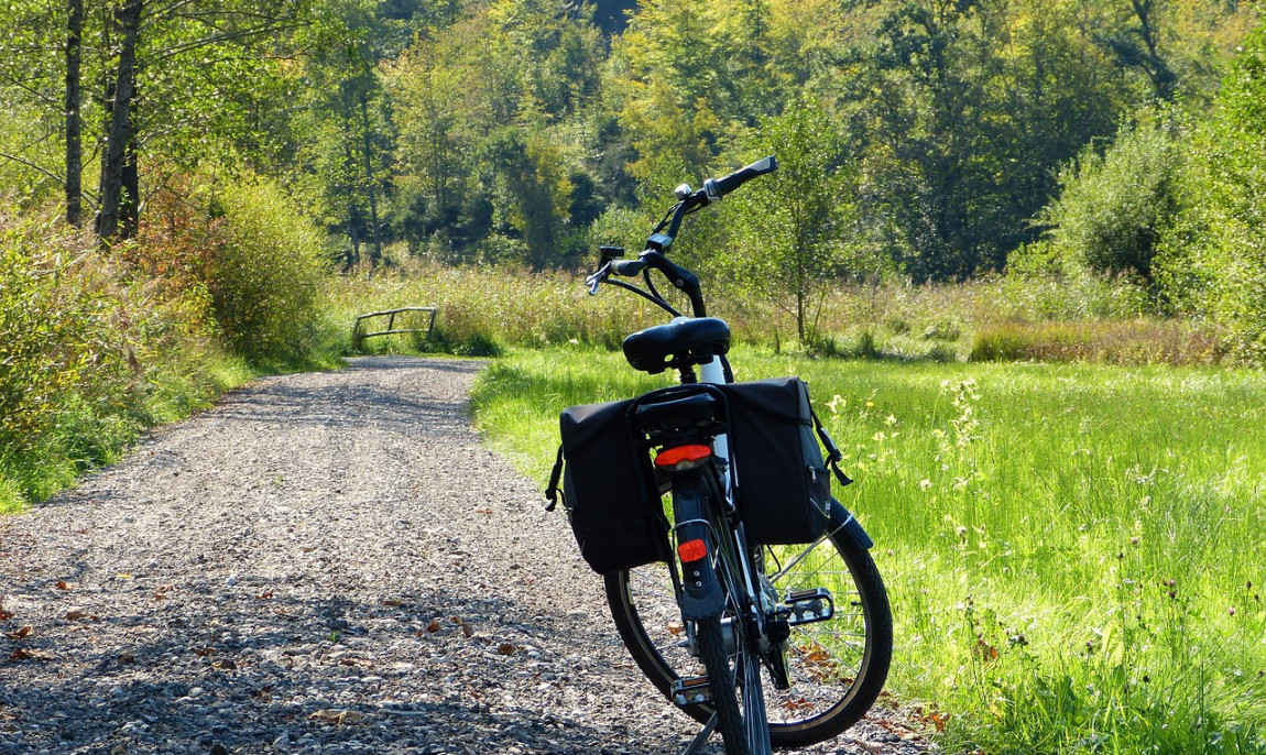 assets/images/activities/volkach-e-bike-tour-inkl-guide-und-e-bike/wheel-3714047_1280-1150x686x90.jpg