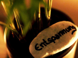 assets/images/activities/wuerzburg-floating-und-massage/Entspannung-SteinPflanze-bearbeitet-quadratisch-270x200x90.jpg