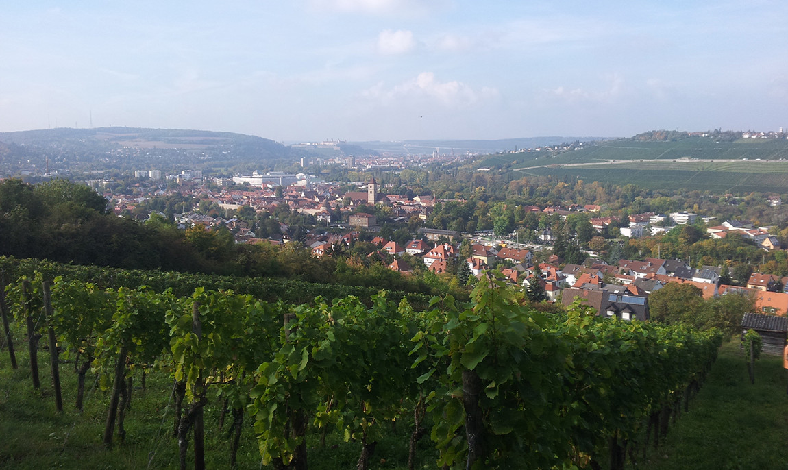 assets/images/activities/wuerzburg-heidingsfeld-3-std-weinwanderung-mit-weinprobe-fuer-110-personen/winzer-2-1150x686x90.jpg