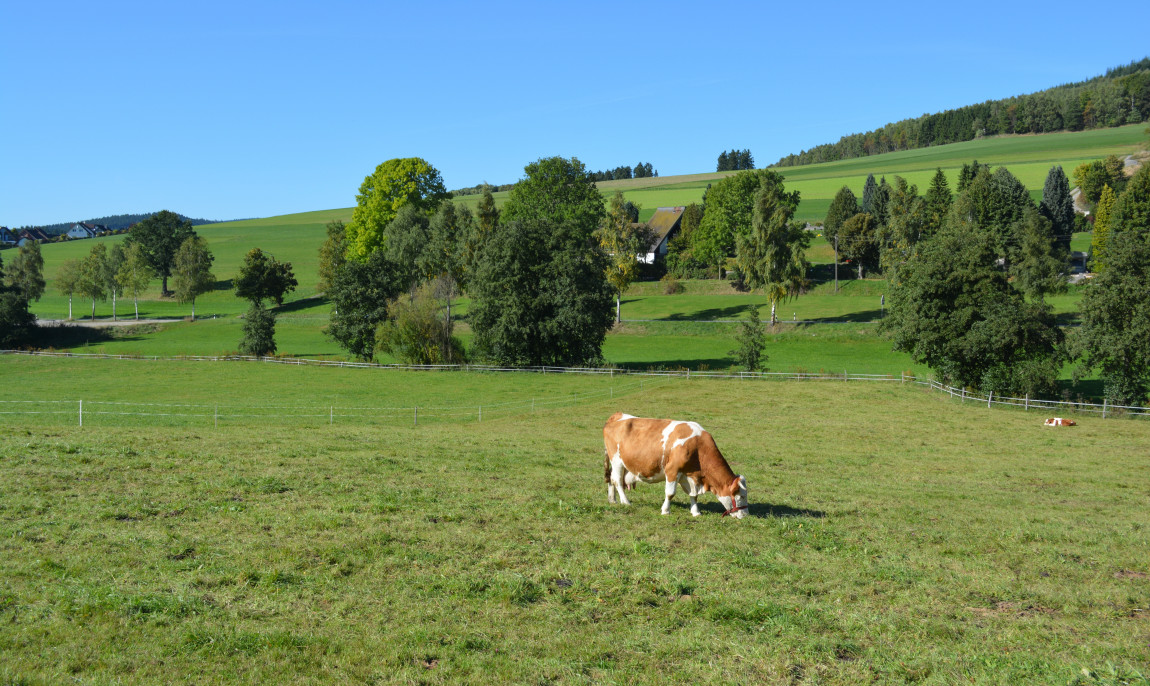 assets/images/categories/rundfluege-burbach/Fotolia_64215989_Subscription_XXL-1150x686x90.jpg